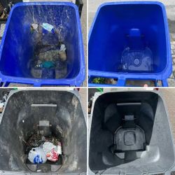 Trash Bin Cleaning 