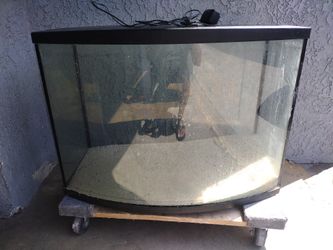 Fish Tank For Sale