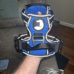 Dog Walking And Training Vest Blue