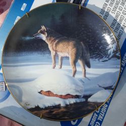 "Solitary hunter" collectible plate