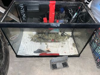 Fish tank