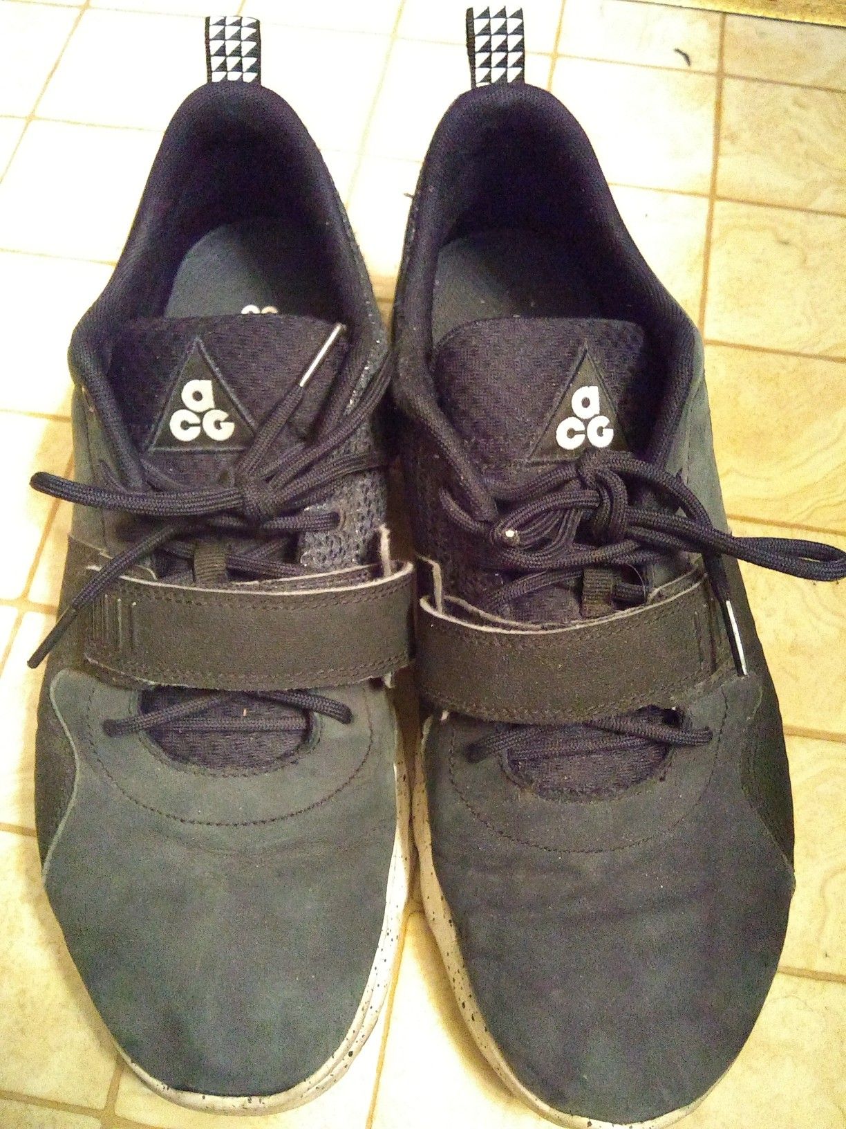 Nike SB Trainerendor ACG