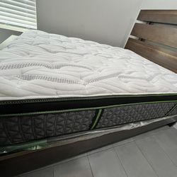 Queen Mattress For Sale $450 OBO