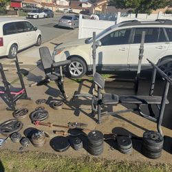 Pesas / weights for Exercise 