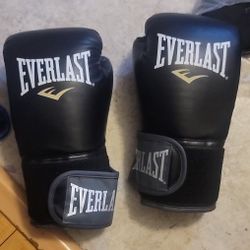12 oz Everlast Boxing Gloves