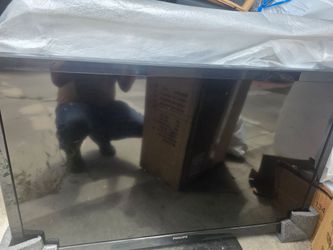 55" tv Philip