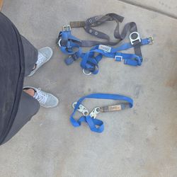 Construction Safety  Harness
