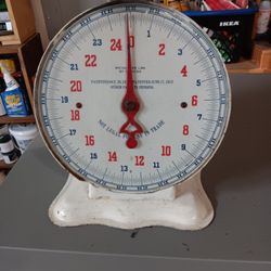 Scale 25 Lbs