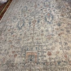 Safavieh large Rug