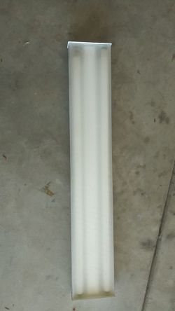 Fluorescent Light
