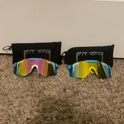 Pit vipers