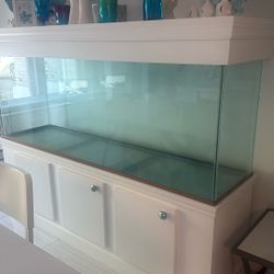 250 Gallons Fish Tank