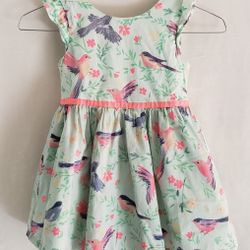 Girls Cherokee Dress Size 4T