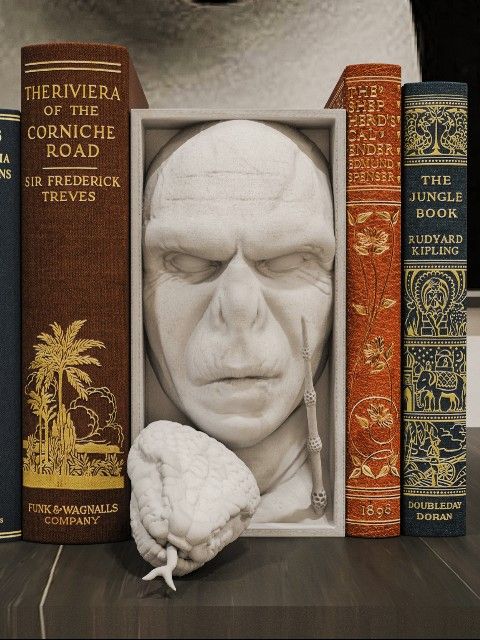 Voldemort Book Nook 