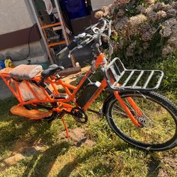 Radwagon 4 Two Person Electric Bike 