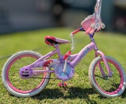 Princess Bike