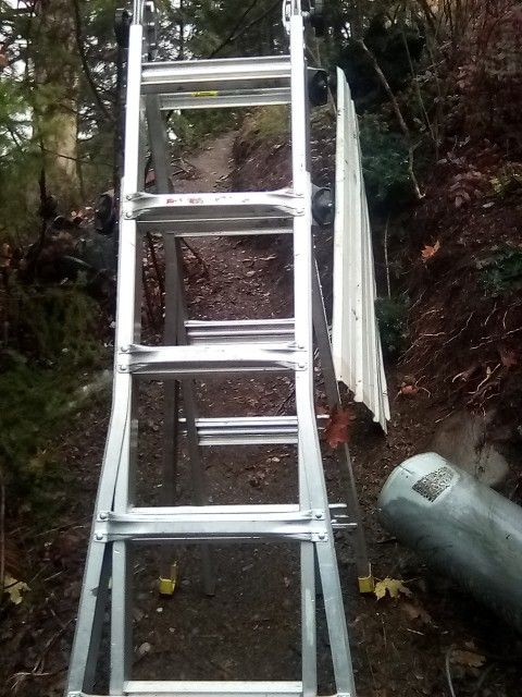 Gorilla ladder 
