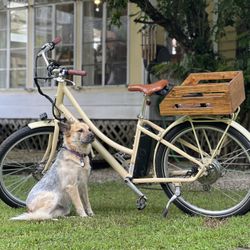 Blix Electric Bike (cruiser)