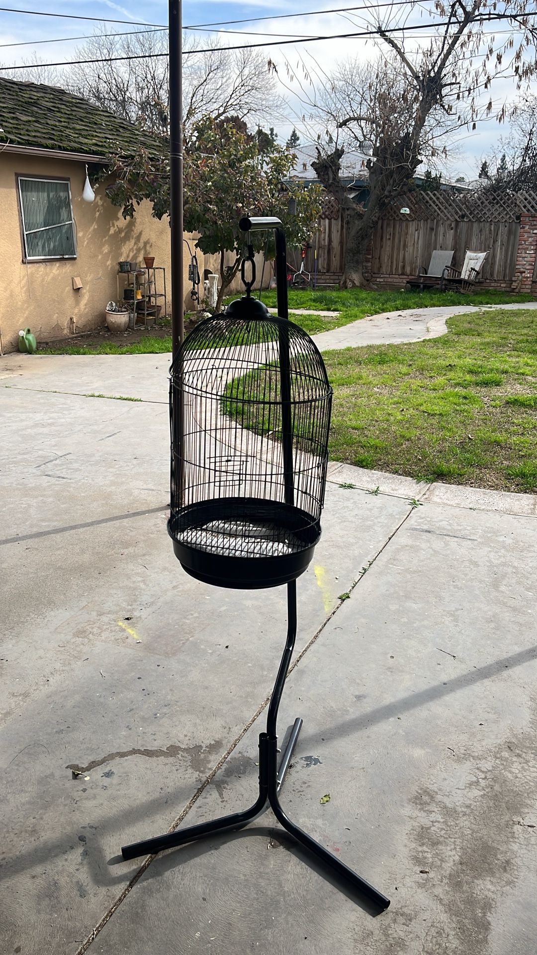 Bird Cage