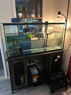55 gallon fish tank