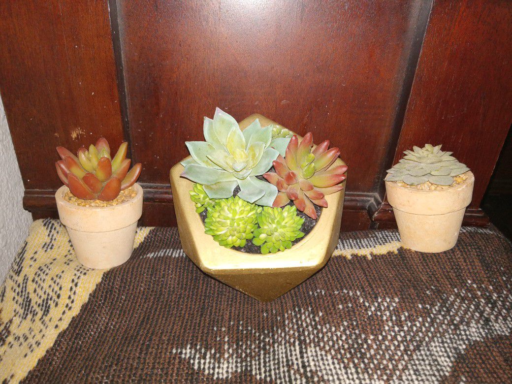 3 Pc.rubber Cactus Plant Set