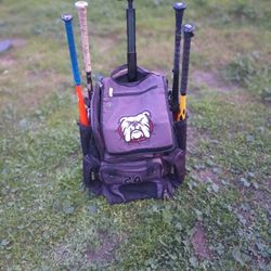 Baseball Bag