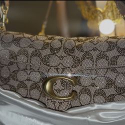 Coach Signature Crystal Tabby Bag Viral