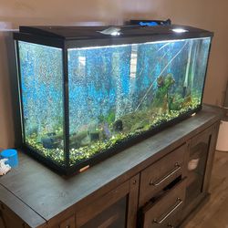 Setting Up a 20- 55 gallon Freshwater Aquarium - The Shopping List