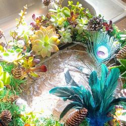 Live Succulant Wreaths 