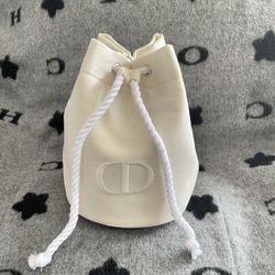 Dior pouch bag