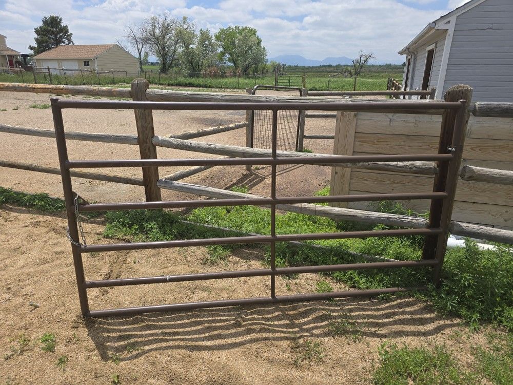 8ft Economy Gate