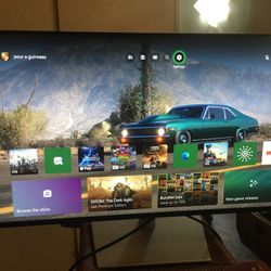 27 Inch Dell Monitor 