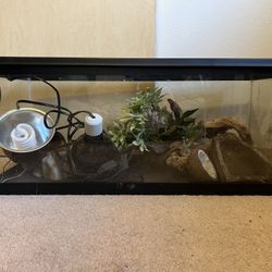 20L Tank Reptile