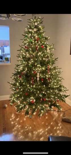 Frasier Grande Tree with Clear Lights 7,5 ft