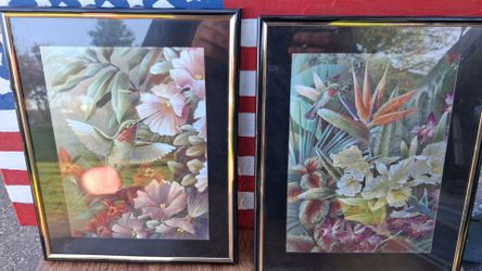 Framed Hummingbird Art Prints Set of 2