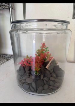 Fish / Terrarium Bowl