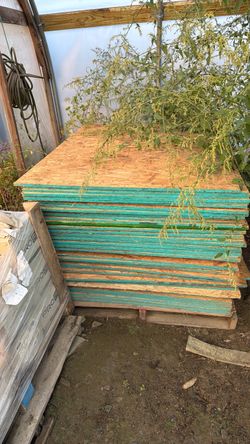 Plywood