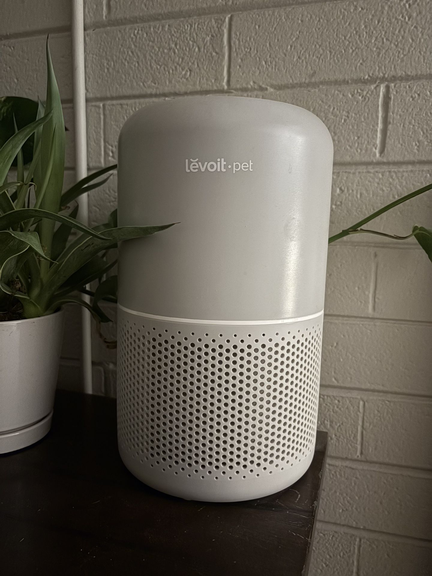 Levoit Air Purifier + pet