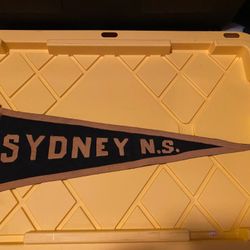 Vintage Sydney NS Felt Pennant 