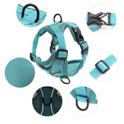 Small Breed Harness And Leash Set 
