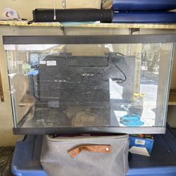 Fish Tank