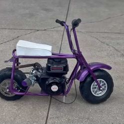 Mini Bike Predator Motor W/mods
