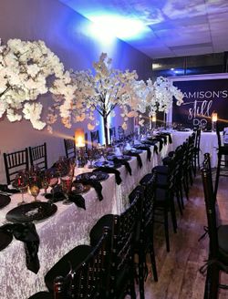 Cherry Blossom Trees 