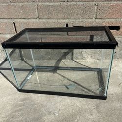 Free 10 Gallon Glass Tank