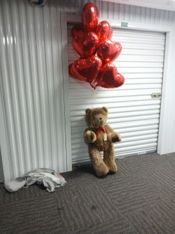 Huge Vintage Bear Collection Over 200 Bears From Large  To Small  40s 50s 60s 70s 80s Sold As One Lot