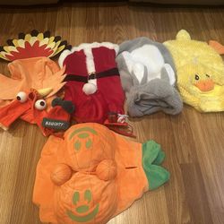 Small Dog Costumes