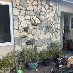 Stone