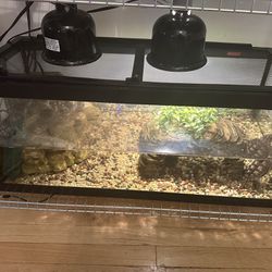 Turtle Tank For Sale 