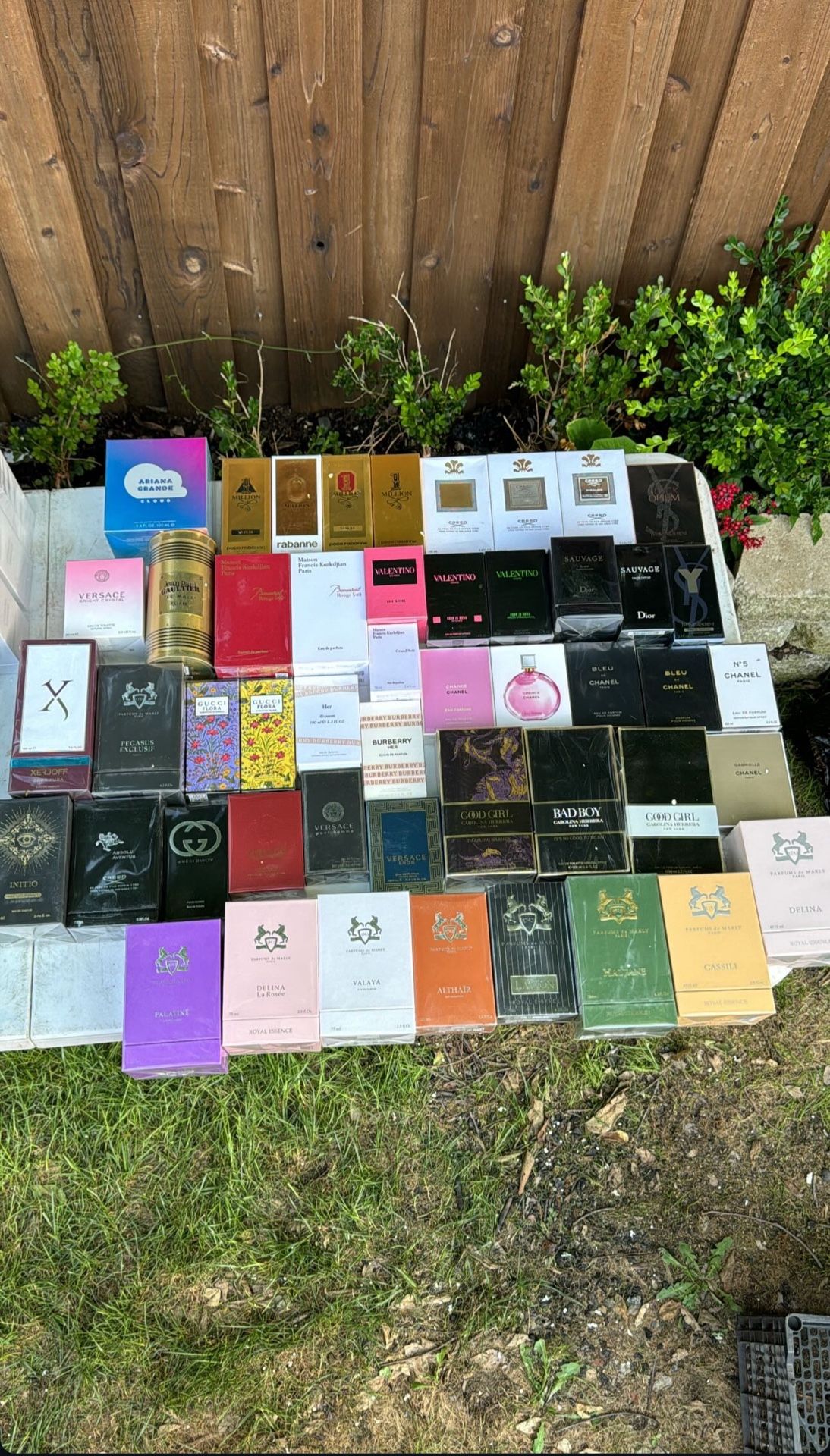 Fragrances 