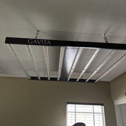 Led Gavita Grow Lights 